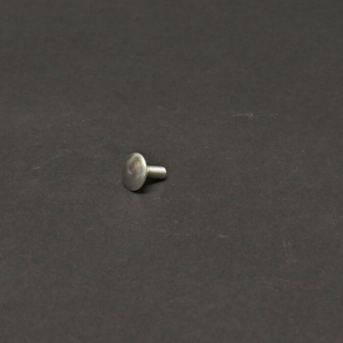 Slotbout M6 x 16 mm RVS A2 DIN603